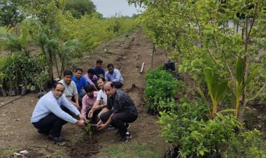 राॅॅयल महाविद्यालय के कैम्पस में 1000 फल के पेड़ों का वृक्षारोपण*