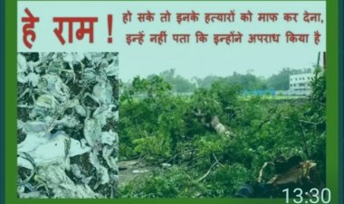 गोल्ड काम्प्लेक्स के नाम पर सेकड़ो जीवो की हत्या घोर अपराध.... दोषियों को अविलम्ब न्यायोचित सज़ा मिले  - राव