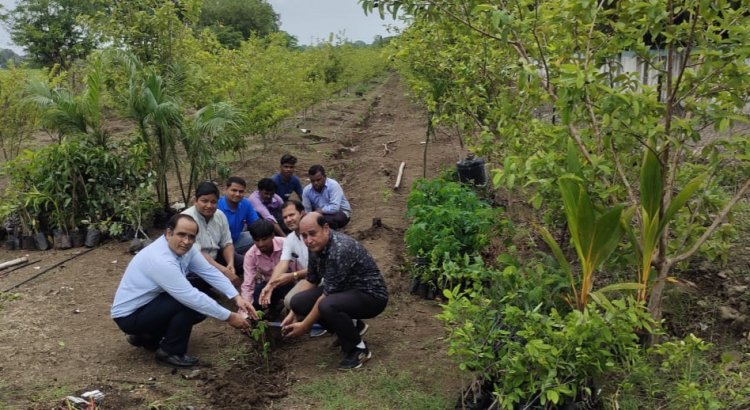 राॅॅयल महाविद्यालय के कैम्पस में 1000 फल के पेड़ों का वृक्षारोपण*