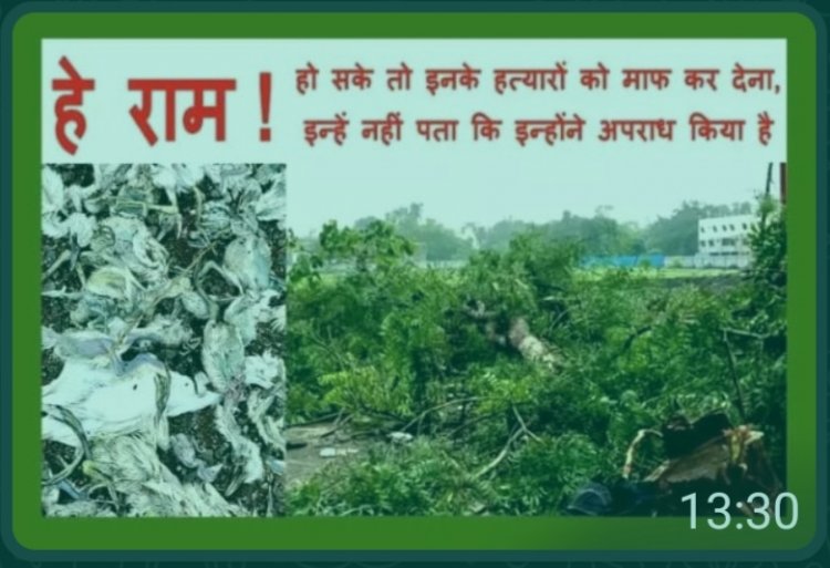 गोल्ड काम्प्लेक्स के नाम पर सेकड़ो जीवो की हत्या घोर अपराध.... दोषियों को अविलम्ब न्यायोचित सज़ा मिले  - राव