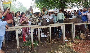 क्यों बजायी भेस के आगे बिन...?