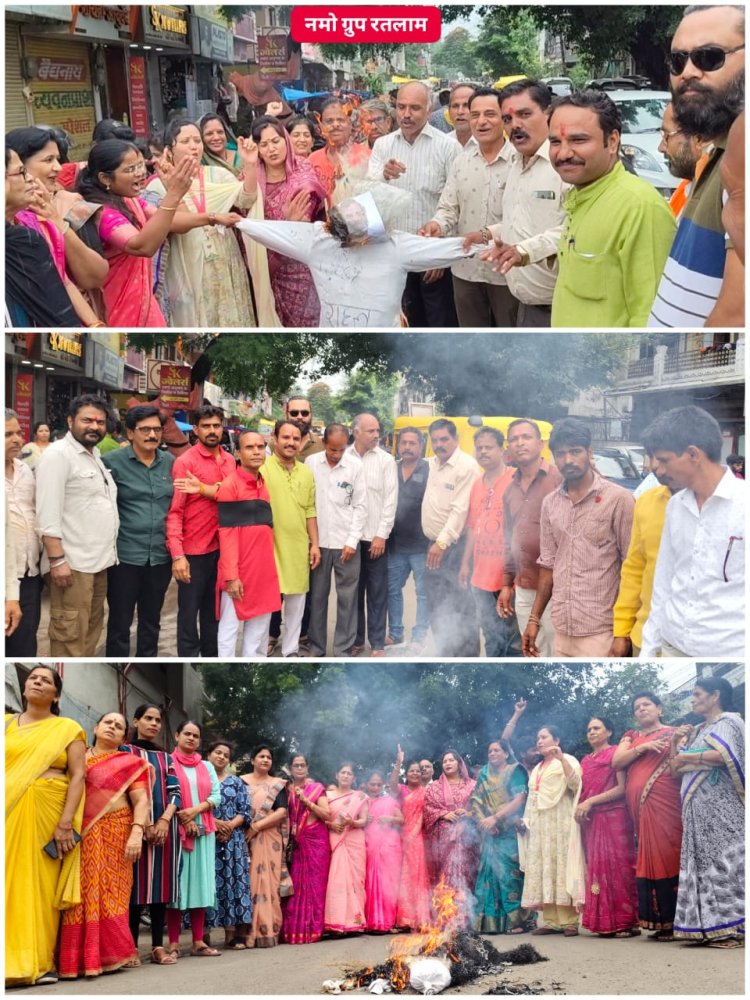 हिन्दू विरोधी बयान को लेकर नमो ग्रुप द्वारा राहुल गांधी का पुतला दहन किया। 