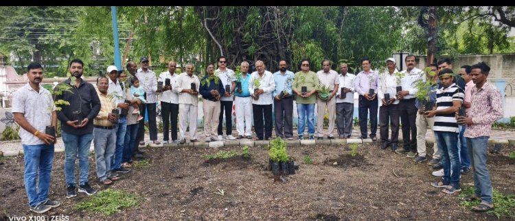 एक पौधा स्वयं के लिए,.........