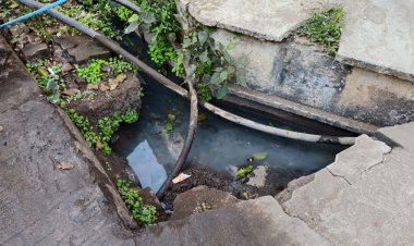 सैलाना में दूषित जल आपूर्ति को लेकर विधायक कमलेश्वर डोडियार ने परिषद पर लगाए गंभीर आरोप