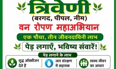 46.5° की तपिश से सबक ! रतलाम में चलेगा 'त्रिवेणी वन रोपण महाअभियान'